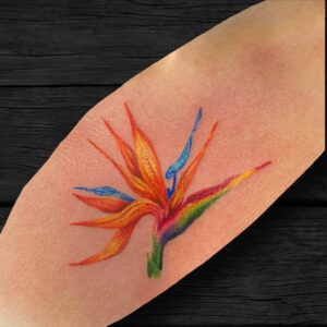 Realistic Water Color Bird Of Paradise Tattoo